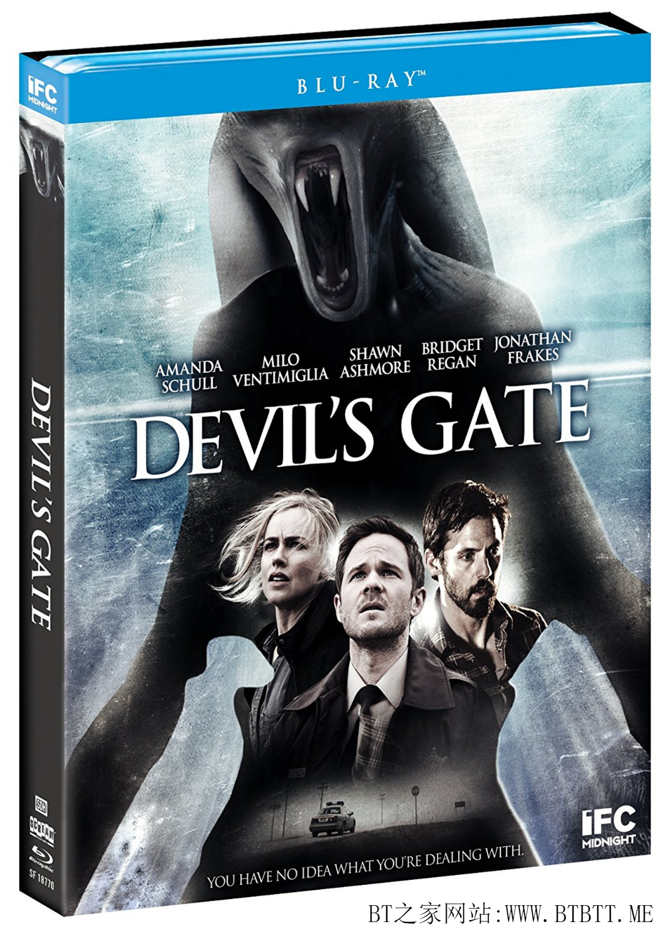 恶魔之门 Devils.Gate.2017.BluRay.720p.DTS.X264-CMRG 4.68GB-1.jpg