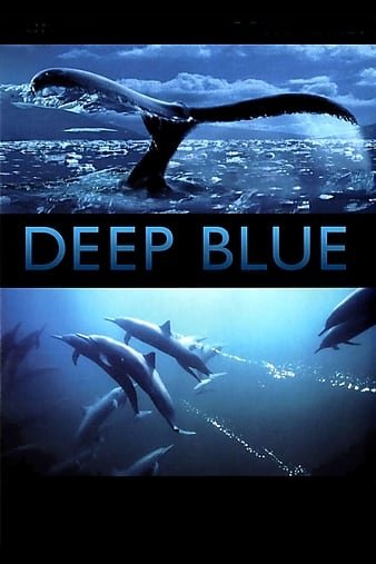 深蓝 Deep.Blue.2003.1080p.BluRay.x264-LCHD 6.55GB-1.jpg