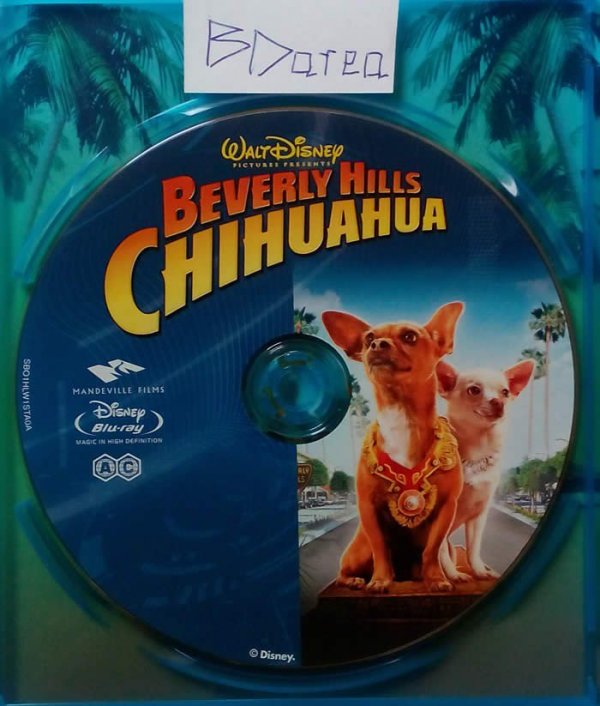 比佛利拜金狗Beverly Hills Chihuahua 2008 HK Blu-ray 1080P AVC LPCM 5.1-BDarea 35-3.jpg