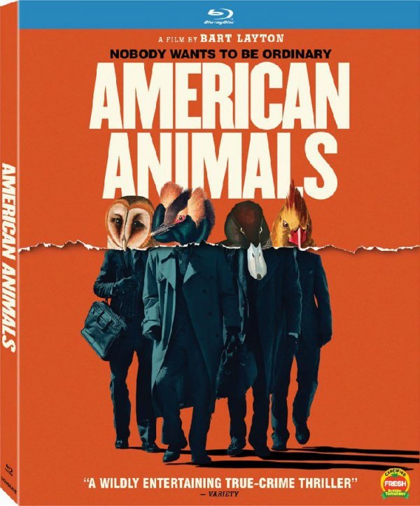 美国动物 American Animals 2018 BluRay 720p DTS x264-CHD 4.37GB-1.jpg