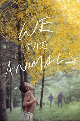 我们动物/我们这些动物 We.the.Animals.2018.1080p.BluRay.x264-BRMP 7.95GB-1.jpg