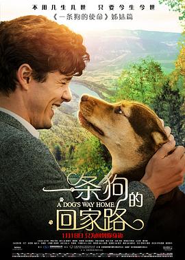 一条狗的回家路 A.Dogs.Way.Home.2019.1080p.WEB-DL.DD5.1.H264-FGT  3.31GB-1.jpg