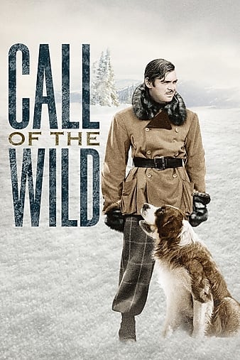 野性的呼唤 The.Call.Of.The.Wild.1935.1080p.BluRay.x264-GUACAMOLE 13.00GB-1.png