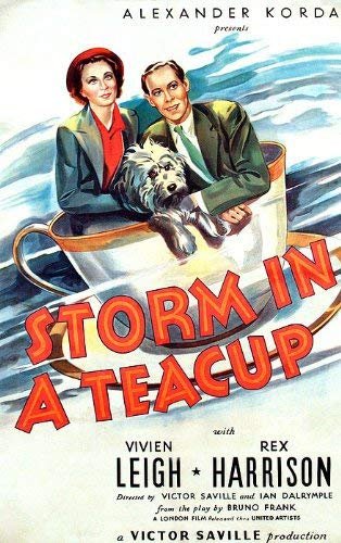 茶杯里的风暴 Storm.in.a.Teacup.1937.1080p.BluRay.x264-SADPANDA 5.46GB-1.jpg