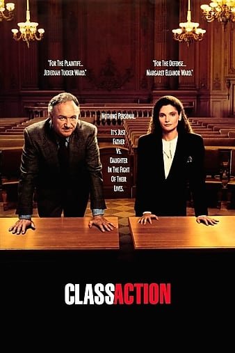 审判终结/法网大志 Class.Action.1991.1080p.BluRay.x264.DTS-FGT 10.02GB-1.jpg