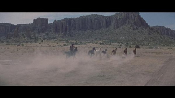 杰罗尼莫/勇冠万军（港） Geronimo.1962.1080p.BluRay.REMUX.AVC.DTS-HD.MA.2.0-FGT 14.59GB-2.png