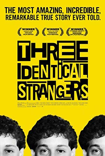 孪生陌生人 Three.Identical.Strangers.2018.1080p.BluRay.x264-ROVERS 7.65GB-1.jpg