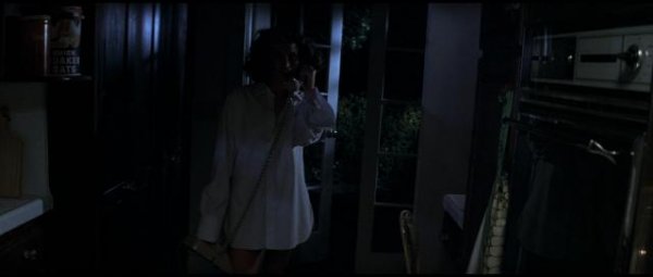 月光光心慌慌/万圣节 Halloween.1978.2160p.BluRay.x265.10bit.SDR.DTS-HD.MA.TrueHD.7.1.Atmos-SWTYBLZ 41.59GB-5.png