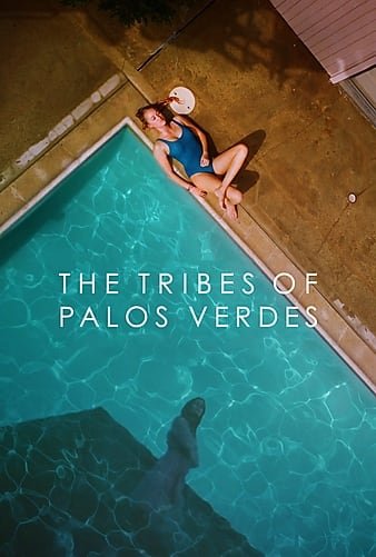 帕洛斯弗迪斯的部落 The.Tribes.of.Palos.Verdes.2017.LiMiTED.720p.BluRay.x264-CADAVER 4.38GB-1.jpg