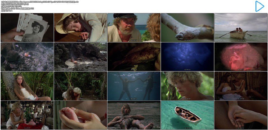 [恋爱片]青春珊瑚岛.The Blue Lagoon.1980.US.BluRay.1920x1040p.x264.DTS-KOOK.[中英双字]8.75GB-2.jpg