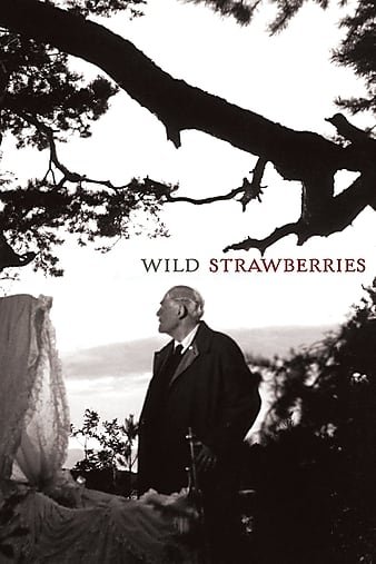 野草莓 Wild.Strawberries.1957.INTERNAL.1080p.BluRay.x264-DEPTH 11.14GB-1.jpg