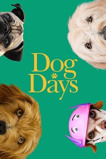 狗日子/与狗狗一路生活 Dog.Days.2018.720p.BluRay.X264-AMIABLE 4.37GB-1.jpg