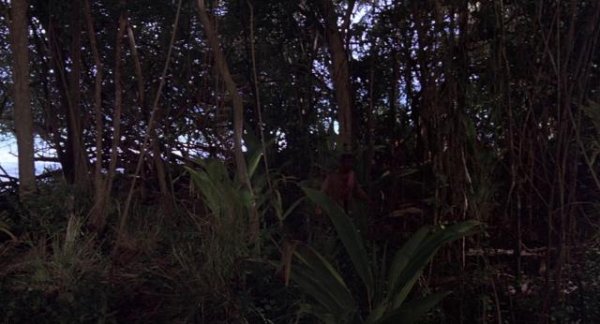 冲出人魔岛/莫罗博士岛 The.Island.of.Dr.Moreau.1977.1080p.BluRay.x264-FGT 9.86GB-2.png