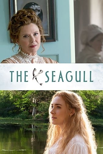 海鸥 The.Seagull.2018.1080p.BluRay.X264-AMIABLE 6.56GB-1.jpg