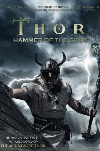 轰隆雷神 Thor.Hammer.of.the.Gods.2009.1080p.BluRay.x264-SWAGGERHD 6.5GB-1.jpg