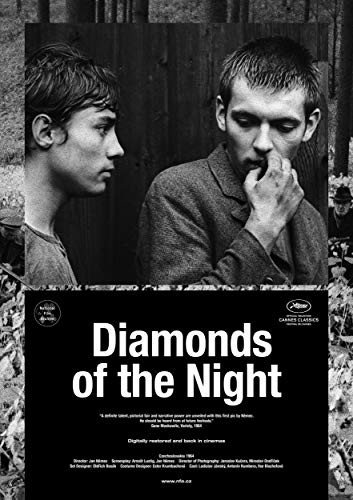 夜之钻  Diamonds.of.the.Night.1964.1080p.BluRay.x264-GHOULS 5.46GB-1.jpg