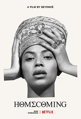 归家：碧昂丝作品 HOMECOMING.A.film.by.Beyonce.2019.720p.NF.WEBRip.DDP5.1.x264-NTG  4.87GB-1.jpg