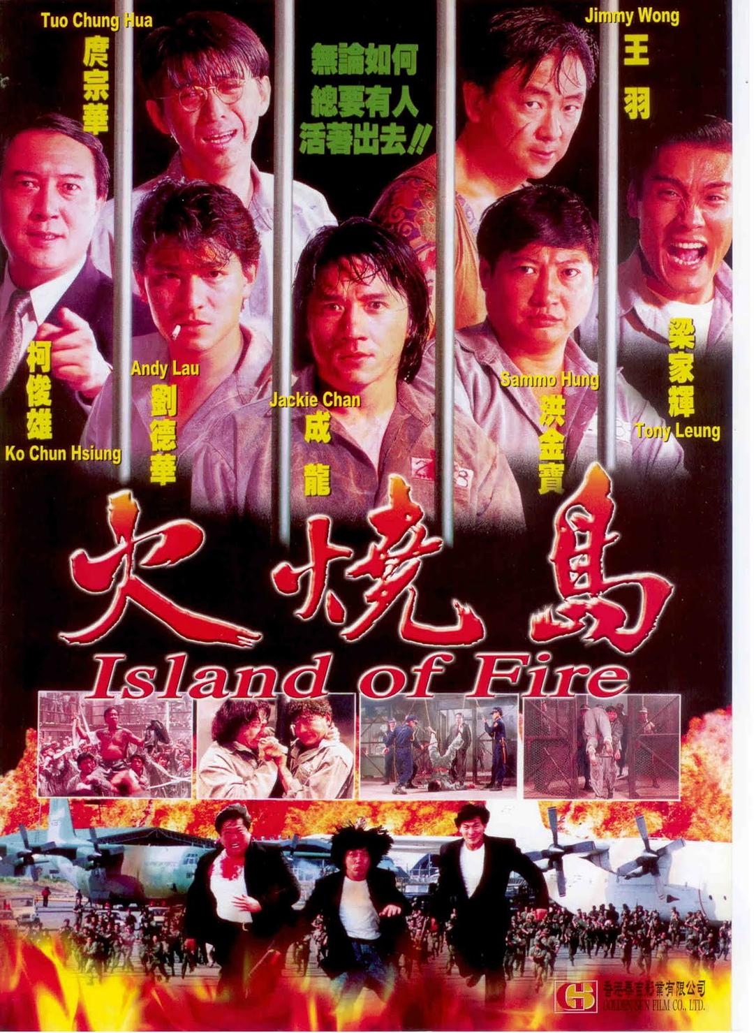 火烧岛 Island.of.Fire.1990.CHINESE.1080p.BluRay.x264- 6.91GB-1.png