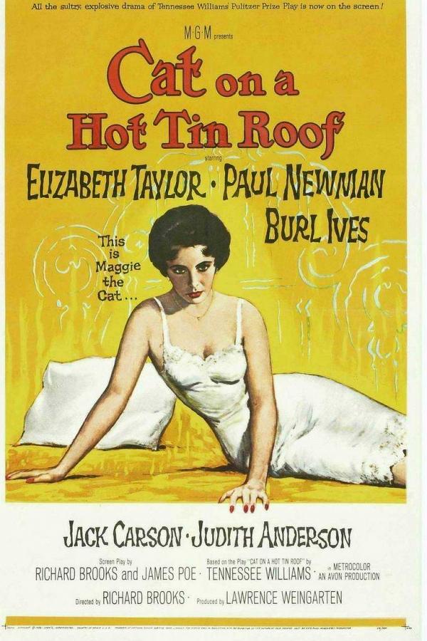 朱门巧妇/热铁皮屋顶上的猫 Cat.on.a.Hot.Tin.Roof.1958.1080p.BluRay.X264-AMIABLE 10.93GB-1.png