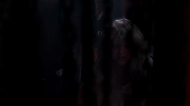猛鬼街4:梦幻主宰/三更鬼上床 4 A.Nightmare.On.Elm.Street.4.The.Dream.Master.1988.1080p.BluRay.x264-MOOVEE 6.56GB-2.png