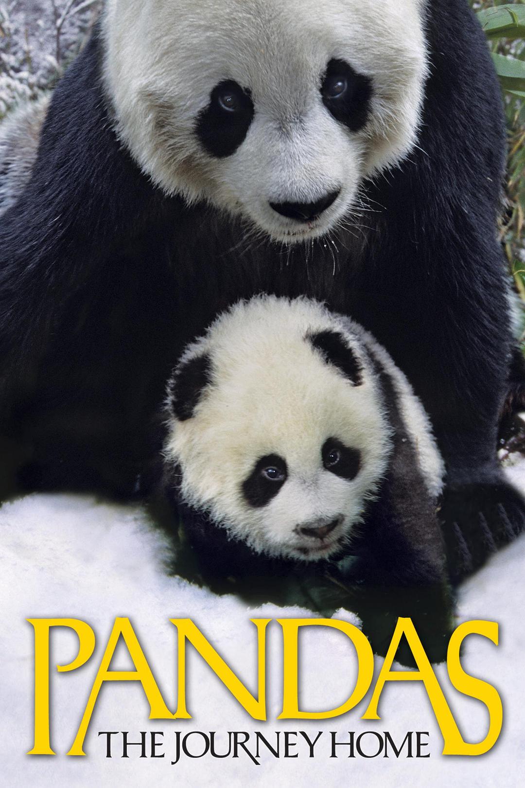 大熊猫 Pandas.The.Journey.Home.2014.1080p.BluRay.x264-SADPANDA 3.28GB-1.png