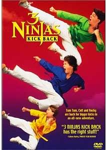 忍者小豪杰2/小鬼当家又难缠 3.Ninjas.Kick.Back.1994.1080p.WEBRip.x264-RARBG 1.78GB-1.png