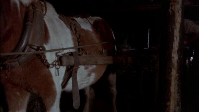 逃离黑暗 The.Littlest.Horse.Thieves.1976.1080p.AMZN.WEBRip.DDP2.0.x264-NTb 9.13GB-2.png