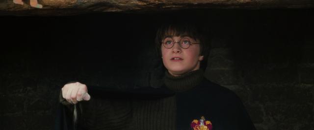 哈利·波特与密屋/哈2 Harry.Potter.and.the.Chamber.of.Secrets.2002.1080p.BluRay.x264.DTS-X.7.1-SWTYBLZ 14.24GB-4.png