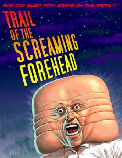 尖叫的额头/尖叫的前额 Trail.of.The.Screaming.Forehead.2007.1080p.BluRay.x264-HANDJOB 8.57GB-1.png