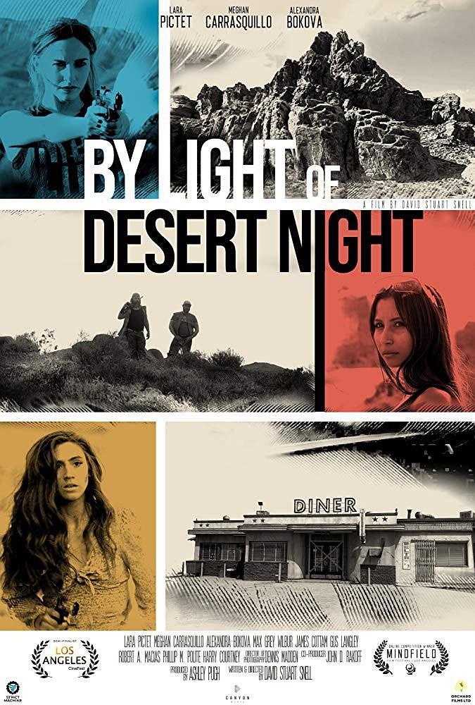 经过沙漠之夜 By.Light.Of.Desert.Night.2019.1080p.WEB-DL.DD2.0.H264-FGT 3.13GB-1.png