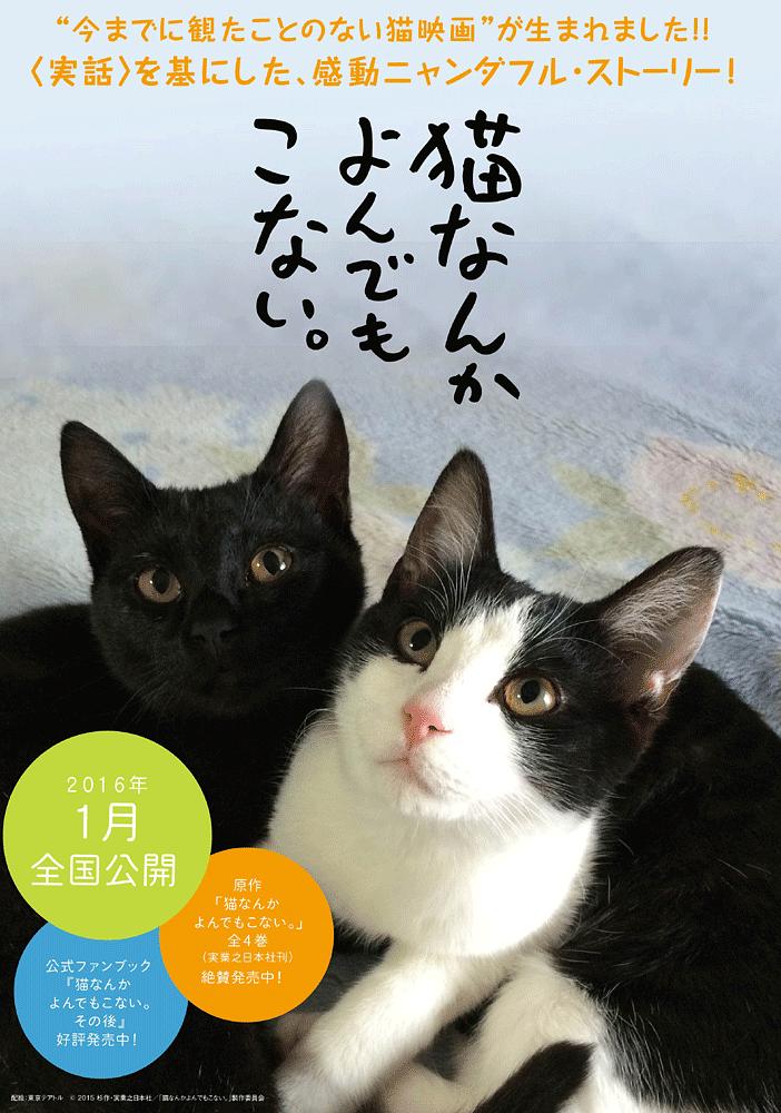 为什么猫都叫不来 Cats.Dont.Come.When.You.Call.2016.JAPANESE.1080p.BluRay.x264.DTS-iKiW 9.77GB-1.png