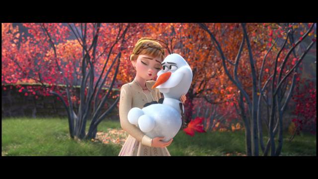 冰雪奇缘2 Frozen.II.2019.1080p.3D.BluRay.AVC.DTS-HD.MA.7.1-EXTREME 40.58GB-3.png