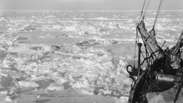 沙克尔顿的船主/弗兰克·沃斯利 Shackletons.Captain.2012.1080p.WEBRip.x264-RARBG 1.63GB-4.png