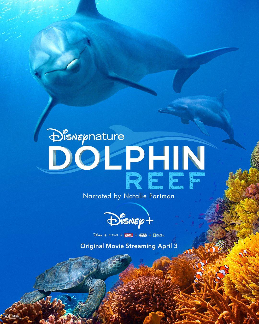 海豚礁 Dolphin.Reef.2020.2160p.DSNP.WEB-DL.x265.10bit.HDR.DDP5.1.Atmos-SECRECY 8.91-1.png
