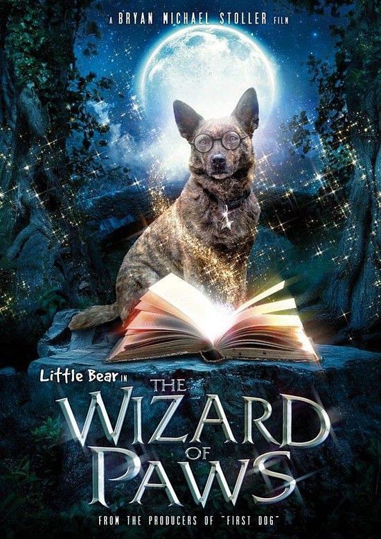 家有魔犬/家有魔犬爪子惊人的领导 The.Amazing.Wizard.Of.Paws.2015.1080p.WEBRip.x264-RARBG 1.84GB-1.png