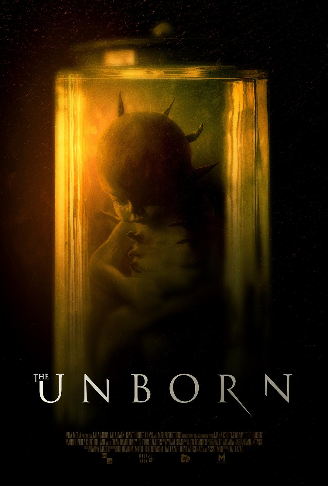 死胎 The.Unborn.2020.1080p.WEB-DL.DD5.1.H264-FGT 2.70GB-1.png