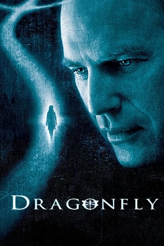 蜻蜓/鬼胎记 Dragonfly.2002.1080p.BluRay.X264-AMIABLE 13.61GB-1.png