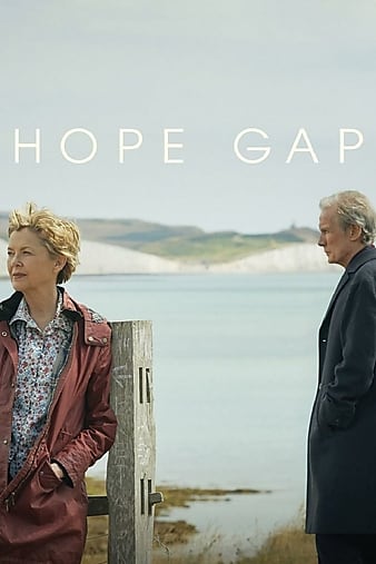 希望沟壑/希望的缺口 Hope.Gap.2019.1080p.BluRay.x264-YOL0W 12.05GB-1.png