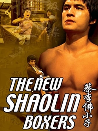 蔡李佛小子 The.New.Shaolin.Boxers.1976.1080p.BluRay.x264-BiPOLAR 7.85GB-1.png