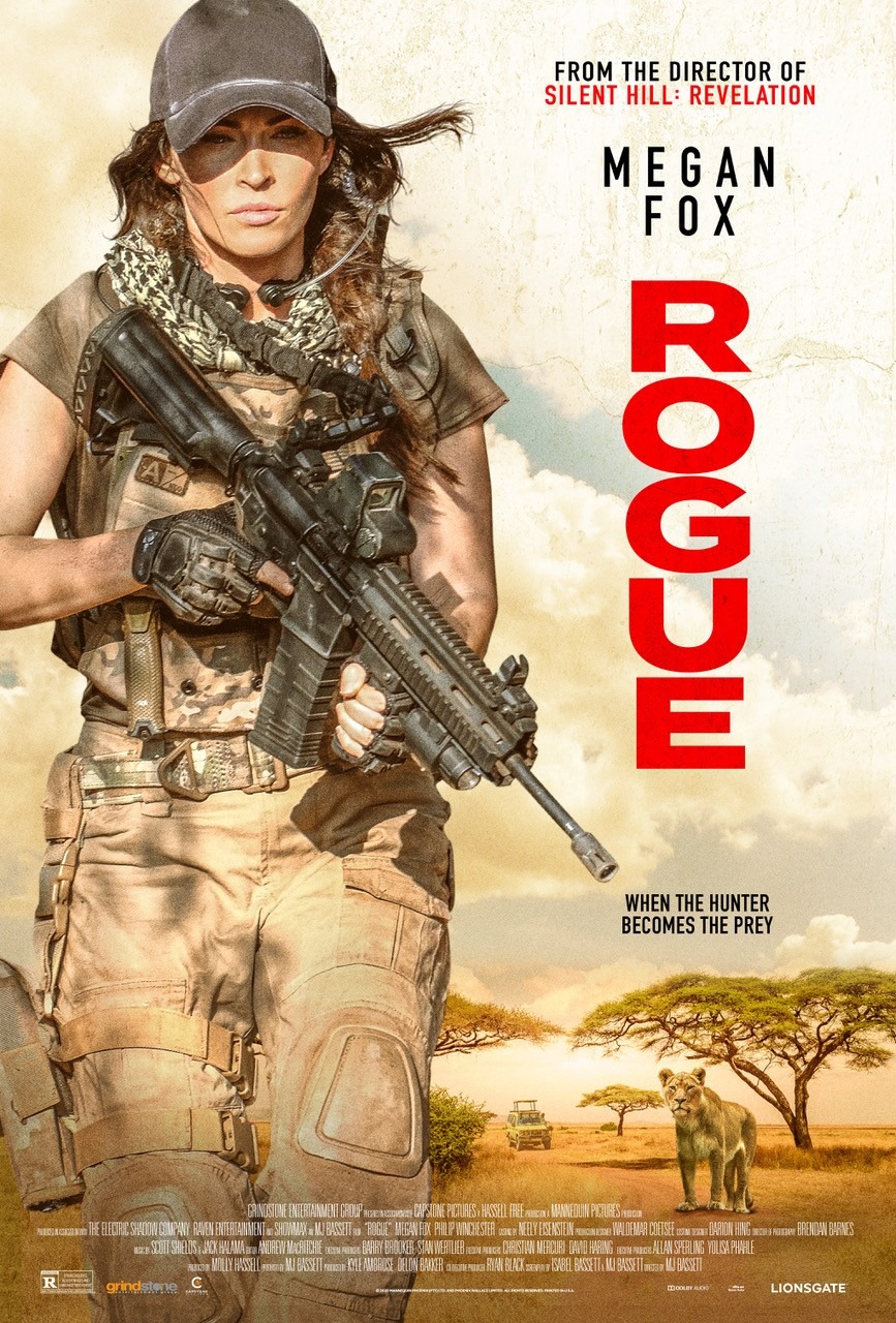 侠盗/重装救济:全境猎杀 Rogue.2020.720p.BluRay.x264.DTS-FGT 5.19GB-1.jpeg