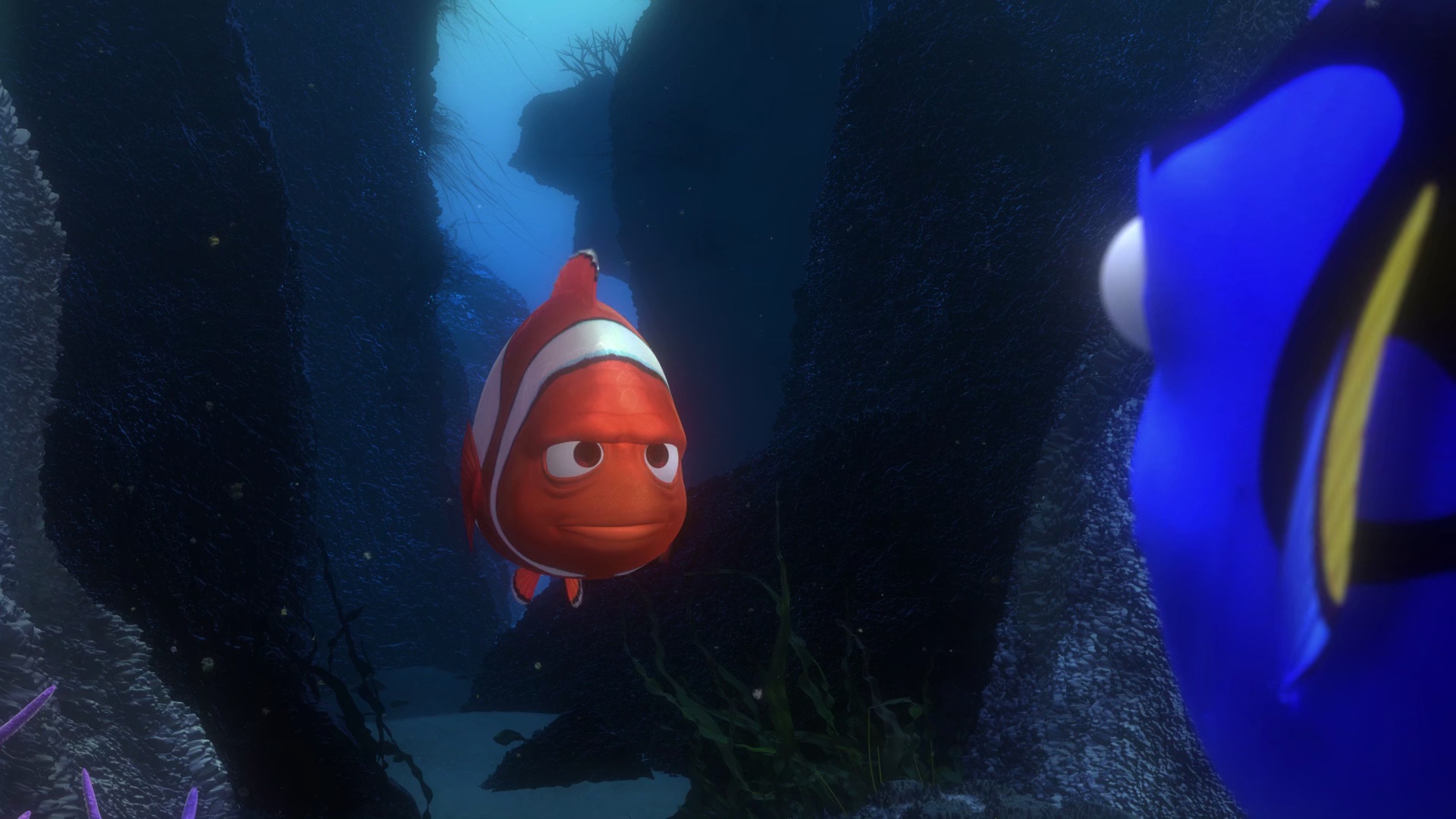 海底总带动[国粤英多音轨/简繁英字幕].Finding.Nemo.2003.BluRay.1080p.x265.10bit.4Audio-MiniHD 5.71GB-4.jpeg