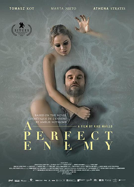 完善仇敌[简繁英字幕].A.Perfect.Enemy.2020.BluRay.1080p.DTS-HD.MA.5.1.x265.10bit-CTRLHD 6.64GB-1.jpeg