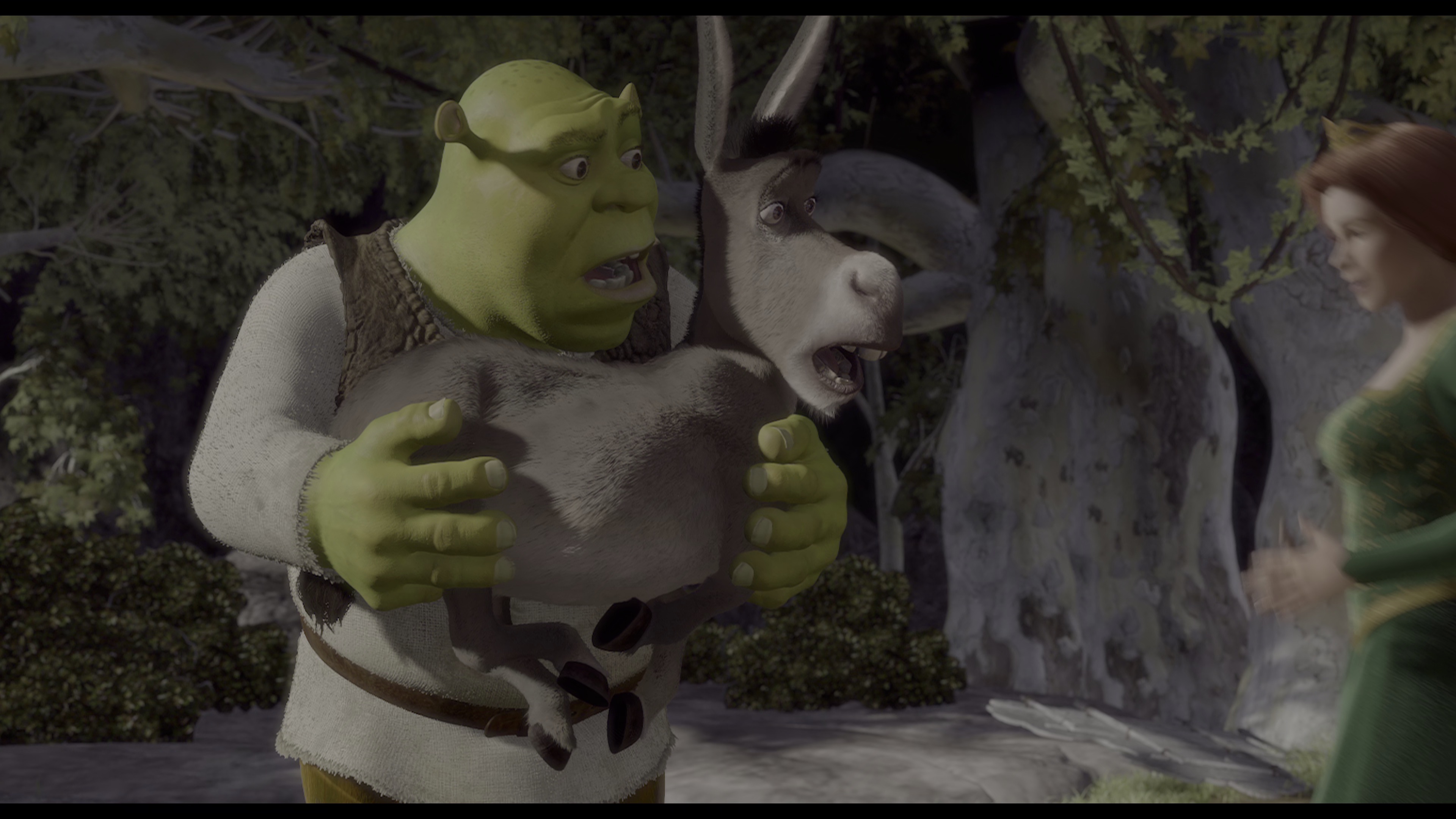 怪物史瑞克[国粤英多音轨/简体字幕].Shrek.2001.UHD.BluRay.2160p.x265.10bit.HDR.4Audio-MiniHD 14.12GB-5.jpeg