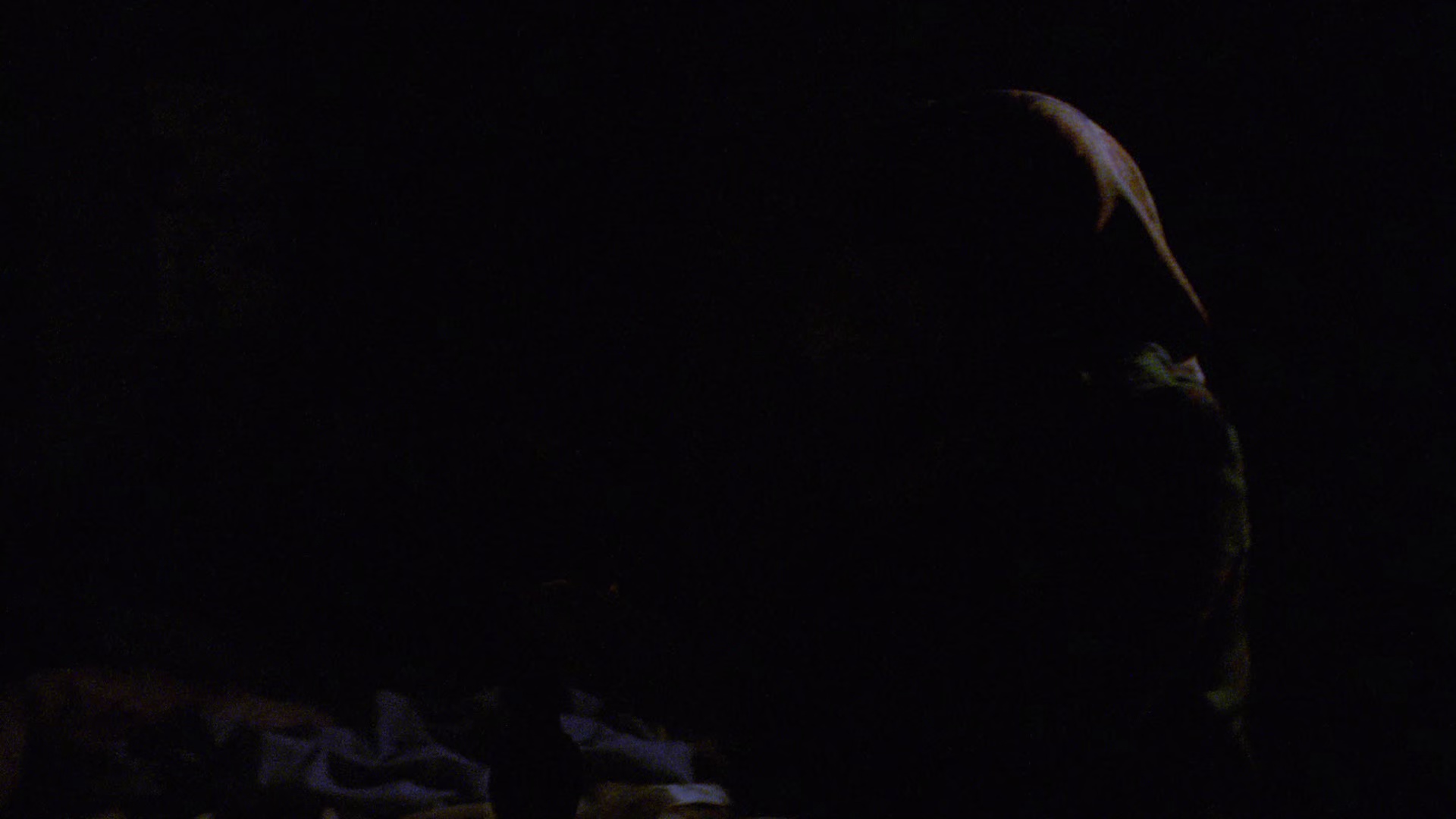 驱魔人[简繁英字幕].The.Exorcist.1973.1080p.BluRay.DTS-HD.MA.5.1.x265-10bit-ENTHD 8.16GB-4.jpeg