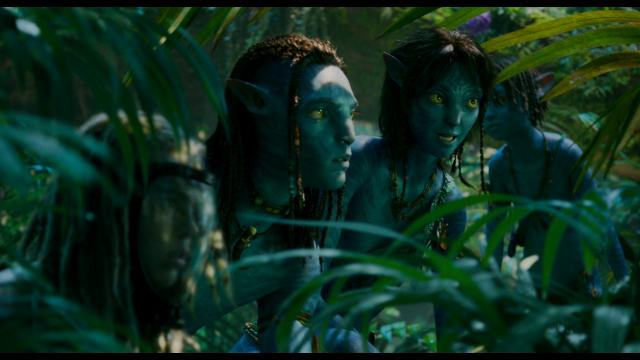 阿凡达：水之道.Avatar.The.Way.of.Water.2022.2160p.MA.WEB-DL.DDP5.1.Atmos.DV.MP4.x265-DVSUX 34.26GB-4.png