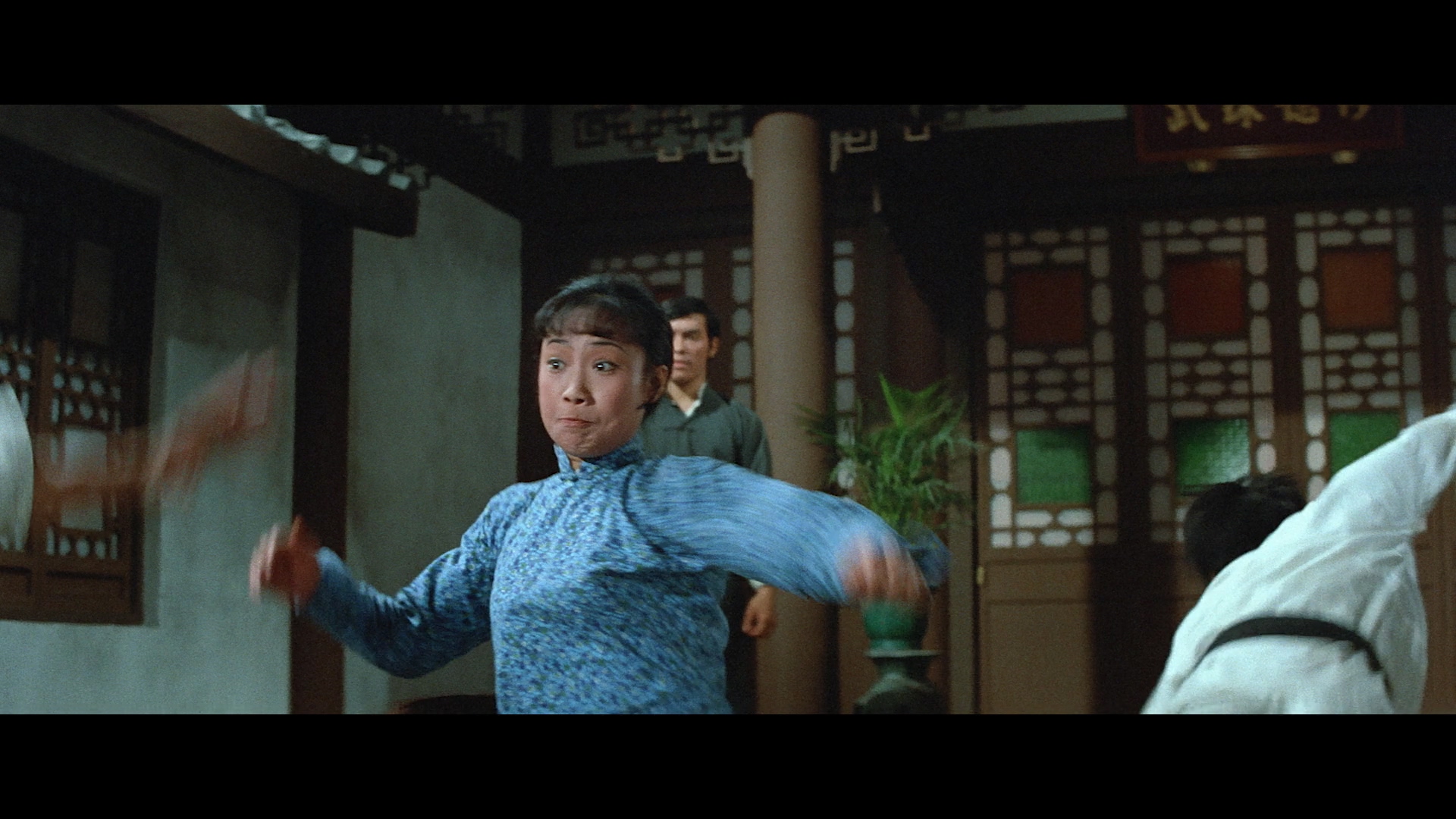 合气道 [美版2K修复原盘/原生国语DIY简繁中字].Lady.Kung.Fu.1972.USA.BluRay.1080p.AVC.DTS-HD.MA.1.0-TAG 45.36GB-3.jpeg